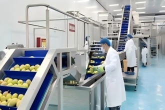 Науковий контроль потемніння грушевого соку: подвійний захист від процесу та ...