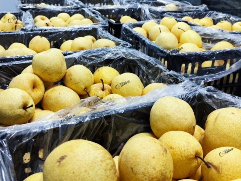 Лінія переробки груші